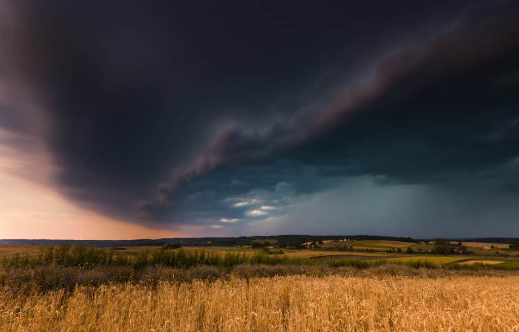 Storm clouds over wheat field. Danger weather with dark sky over fields