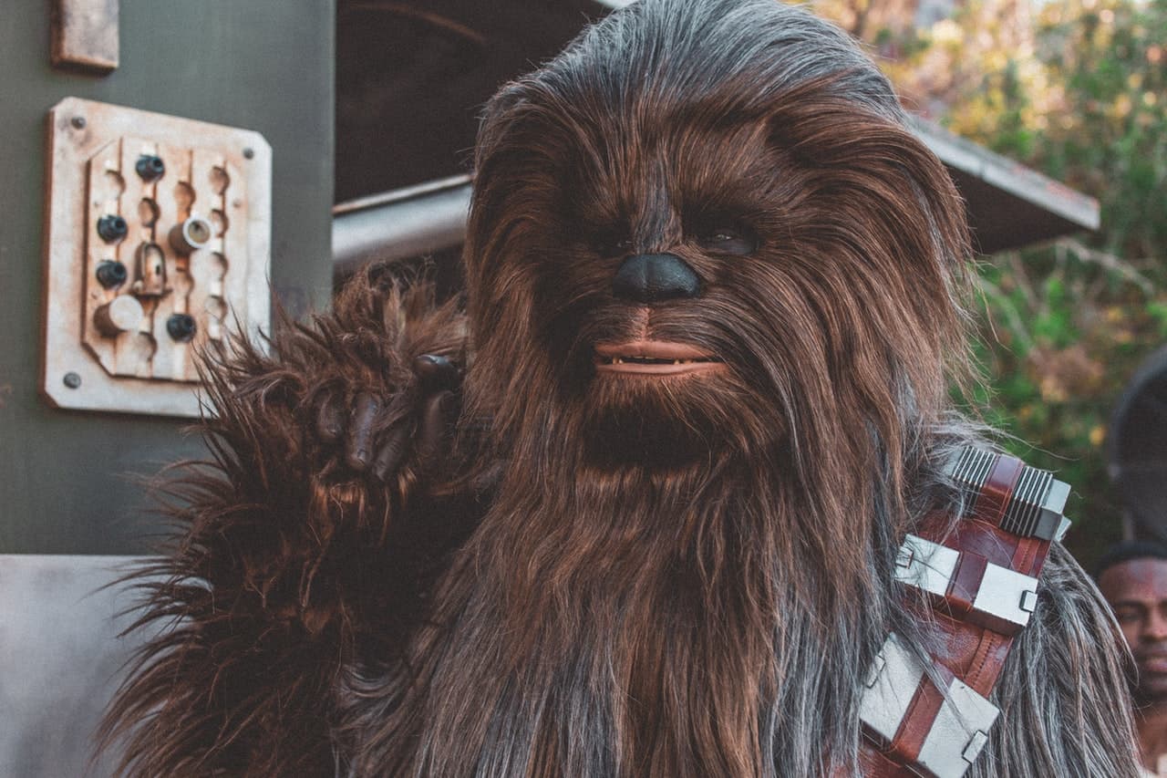 chewbacca hairy