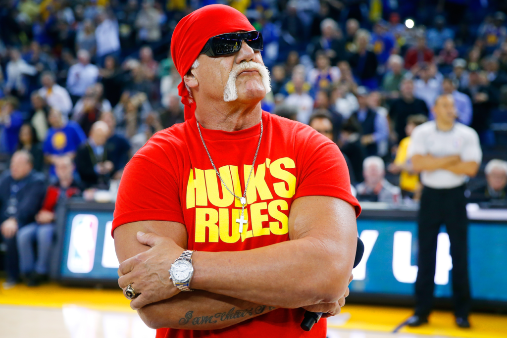 Hulk Hogan Moustache