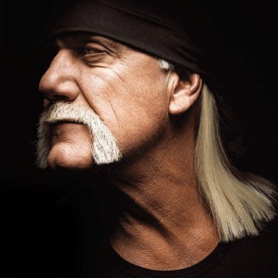 horseshoe mustache