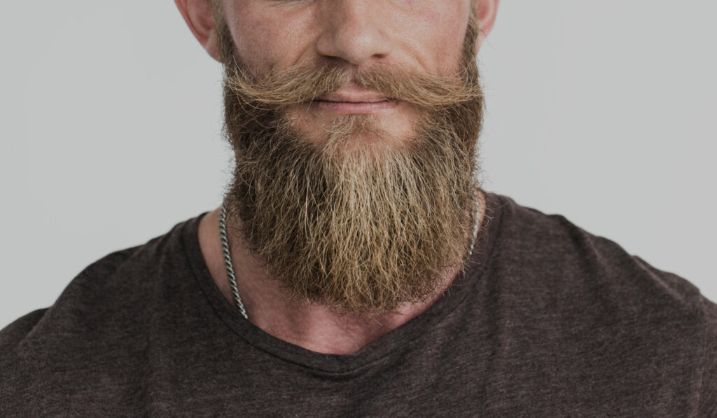 fully groomed beard